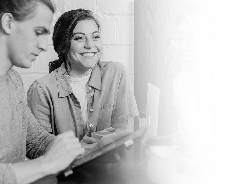 Noblessa Website Values Customize